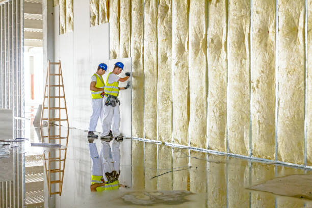 Best Insulation Maintenance and Repair in Colonial Heights, VA